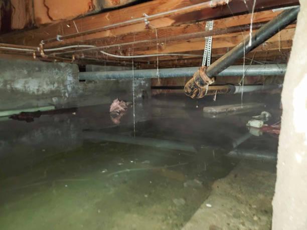 Best Residential water damage restoration  in Maple Heights Lake Desire, WA