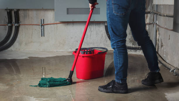 Best Water damage contractors near me  in Maple Heights Lake Desire, WA