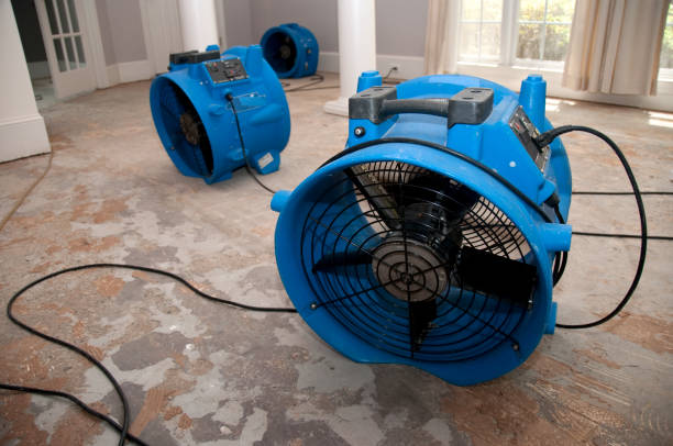 Best Flood damage cleanup  in Maple Heights Lake Desire, WA
