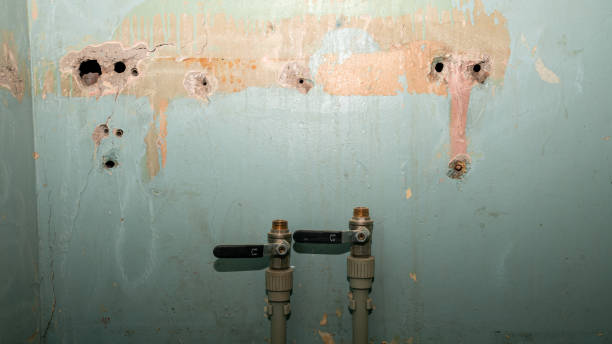 Best Commercial water damage restoration  in Maple Heights Lake Desire, WA