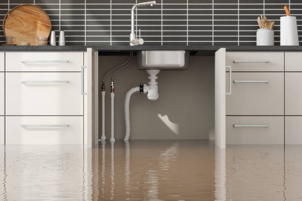 Best Ceiling water damage repair  in Maple Heights Lake Desire, WA